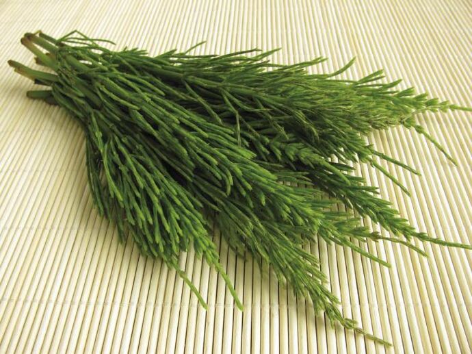 Horsetail is a natural diuretic for weight loss
